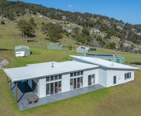 Rural / Farming commercial property for sale at 337 Mount Mackenzie Road Tenterfield NSW 2372 Rural / Farming commercial property for sale at 337 Mount Mackenzie Road Tenterfield NSW 2372