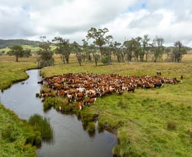 Rural / Farming commercial property for sale at 'Dunvegan'/161 Nine Mile Road Dundee NSW 2370