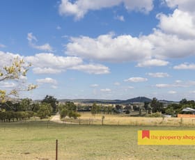 Rural / Farming commercial property for sale at 106 Wyaldra Lane Mudgee NSW 2850