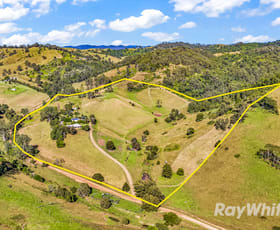 Rural / Farming commercial property for sale at 410 Titaatee Creek Road Gloucester NSW 2422