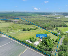 Rural / Farming commercial property for sale at 135-147 Burke Rd Donnybrook QLD 4510