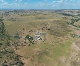 Rural / Farming commercial property for sale at 416 Duck Creek Road Roma QLD 4455