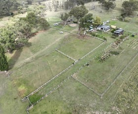 Rural / Farming commercial property for sale at 550 Sandy Flat Road Tenterfield NSW 2372