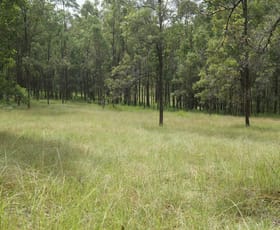 Rural / Farming commercial property for sale at Bonalbo NSW 2469
