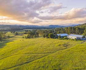 Rural / Farming commercial property for sale at 36 Marshdale Road Dungog NSW 2420