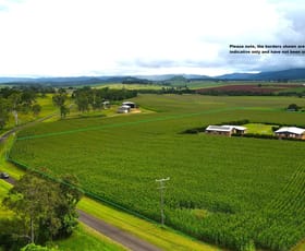 Rural / Farming commercial property for sale at GILLIES RANGE ROAD East Barron QLD 4883