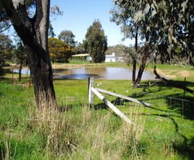 Rural / Farming commercial property sold at 620 The Bridle Track Glenaroua VIC 3764