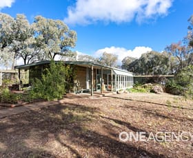 Rural / Farming commercial property for sale at 196 BARCOO LANE Big Springs NSW 2650