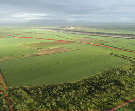 Rural / Farming commercial property for sale at 1235 Kirknie Road Kirknie QLD 4806