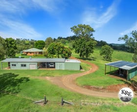 Rural / Farming commercial property for sale at 979 Afterlee Rd Kyogle NSW 2474