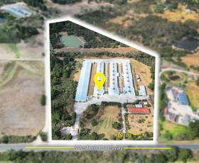 Rural / Farming commercial property for sale at 25 Dandenong-Hastings Road Tyabb VIC 3913