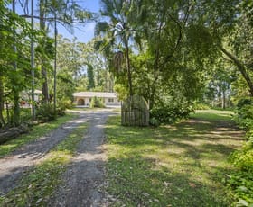 Rural / Farming commercial property for sale at 537 Pacific Highway Boambee NSW 2450