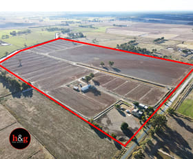 Rural / Farming commercial property for sale at 95 Alfred Road Wyuna VIC 3620