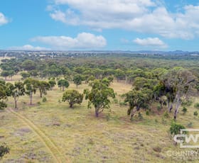 Rural / Farming commercial property for sale at 215 New England Highway Deepwater NSW 2371