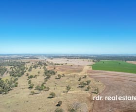 Rural / Farming commercial property for sale at 1612 Pindaroi Road Inverell NSW 2360