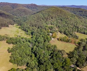 Rural / Farming commercial property for sale at 1252 Yarramalong Road Wyong Creek NSW 2259