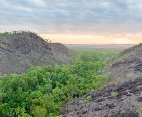 Rural / Farming commercial property for sale at 1390 Dorat Road Robin Falls NT 0822
