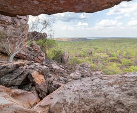 Rural / Farming commercial property for sale at 1390 Dorat Road Robin Falls NT 0822