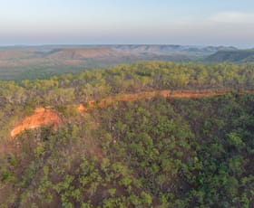 Rural / Farming commercial property for sale at 206 Dorat Road Robin Falls NT 0822