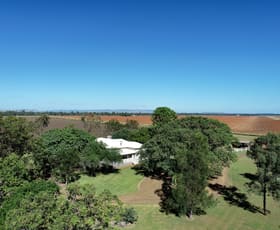 Rural / Farming commercial property for sale at 175 Shepherdsons Road Dakenba QLD 4715