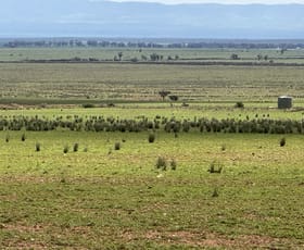 Rural / Farming commercial property for sale at Redgum Road Willowie SA 5431
