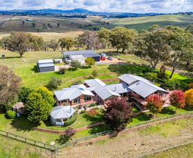 Rural / Farming commercial property for sale at 55 Summer Hill Lane Orange NSW 2800