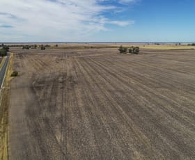 Rural / Farming commercial property sold at Lot 93 Bool Lagoon Road, Bool Lagoon Naracoorte SA 5271