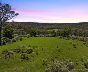 Rural / Farming commercial property for sale at 181 Old Coowong Road Canyonleigh NSW 2577
