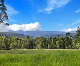 Rural / Farming commercial property for sale at Lot 62-69 Duck Creek Road Old Bonalbo NSW 2469
