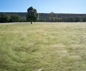 Rural / Farming commercial property for sale at 431 The Springs Road Rankins Springs NSW 2669