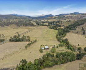 Rural / Farming commercial property for sale at 11032 Mount Lindsay Highway Palen Creek QLD 4287