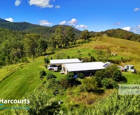 Rural / Farming commercial property for sale at 2992 Nowendoc Road Caffreys Flat NSW 2424