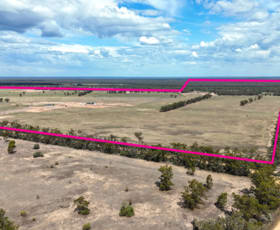 Rural / Farming commercial property for sale at 1767 Stumpy Lane Road Wee Waa NSW 2388