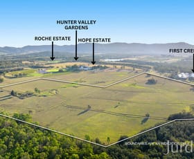 Rural / Farming commercial property for sale at Lot 2 off Gillards Road Pokolbin NSW 2320