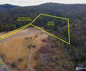 Rural / Farming commercial property sold at Lot 12/970 Nugent Rd Wattle Hill TAS 7172