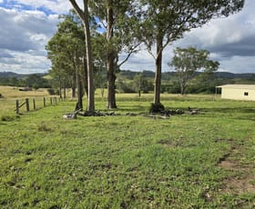 Rural / Farming commercial property for sale at 1262 Willina Road Bunyah NSW 2429