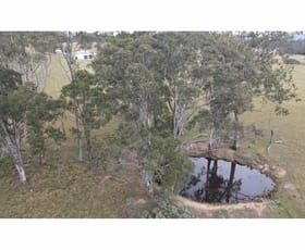 Rural / Farming commercial property for sale at 1262 Willina Road Bunyah NSW 2429