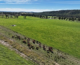 Rural / Farming commercial property for sale at 710 Inverary Road Paddys River NSW 2577