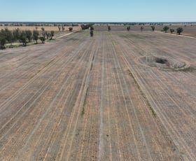 Rural / Farming commercial property sold at 'Glenara' 68 Roberts Road Kickabil NSW 2830