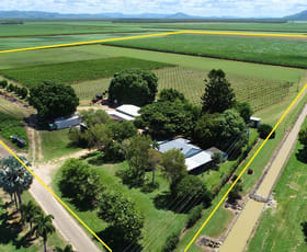 Rural / Farming commercial property for sale at Ayr Dalbeg Road Millaroo QLD 4807