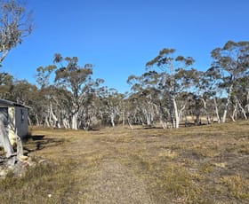 Rural / Farming commercial property sold at 381 Williams Drive Lower Boro NSW 2580