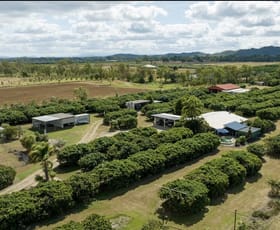Rural / Farming commercial property for sale at 209 Malone Road Mareeba QLD 4880