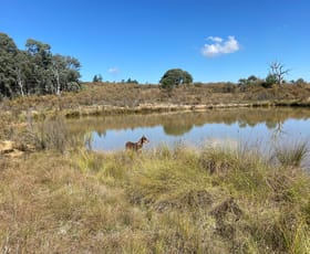 Rural / Farming commercial property for sale at Lot 127 Kiowarra Road Bevendale NSW 2581