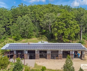 Rural / Farming commercial property for sale at 1449 Tyalgum Road Tyalgum NSW 2484