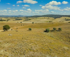 Rural / Farming commercial property for sale at Millcara, 739 Berrebangelo Road Yass River NSW 2582