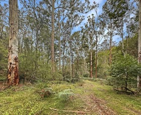 Rural / Farming commercial property sold at Lot 182 Stockyard Creek Road Paynes Crossing NSW 2325