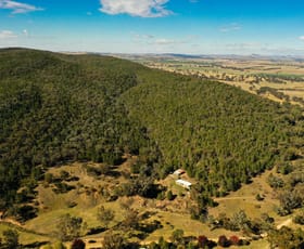 Rural / Farming commercial property for sale at 1859 Douglas Gap Road, Barwang Via Young NSW 2594