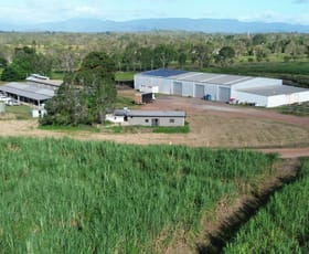 Rural / Farming commercial property for sale at Mulligan Highway Mareeba QLD 4880