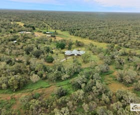 Rural / Farming commercial property for sale at 736 Stuart Highway Mataranka NT 0852