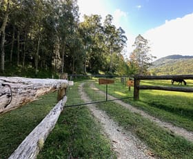 Rural / Farming commercial property sold at 3025 Carrowbrook Road Carrowbrook NSW 2330